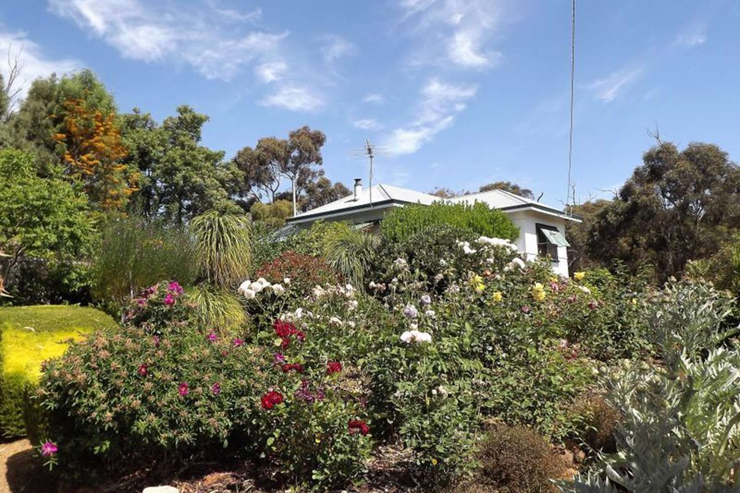 Main view of Homely house listing, 4 Parker Street, Boyup Brook WA 6244