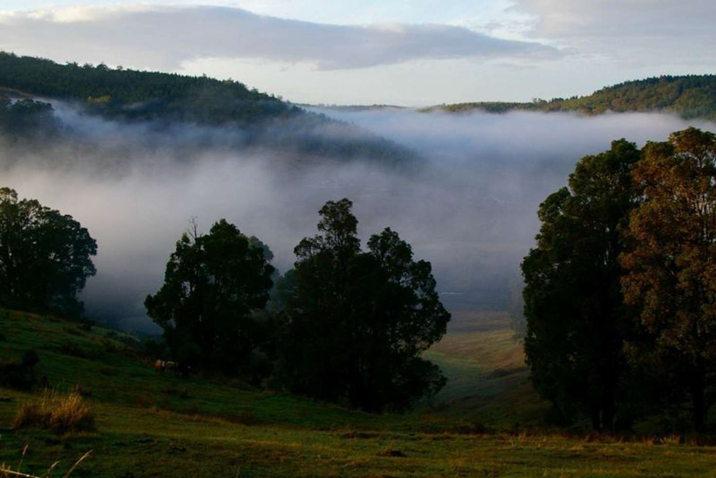 Main view of Homely house listing, 330 Balingup-Nannup Road, Balingup WA 6253