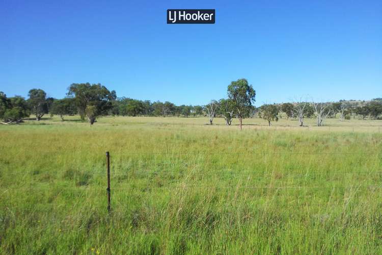 Fourth view of Homely livestock listing, 123 Glenwood Road, Inverell NSW 2360