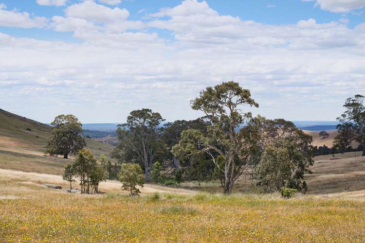 Seventh view of Homely residentialLand listing, Lot 10 Youngs Lane, Sedgwick VIC 3551