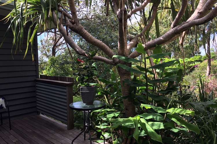 Fifth view of Homely studio listing, 79A Paterson Street, Byron Bay NSW 2481