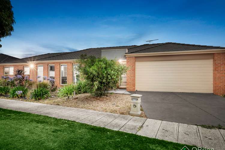 223 Paterson Drive, Lynbrook VIC 3975