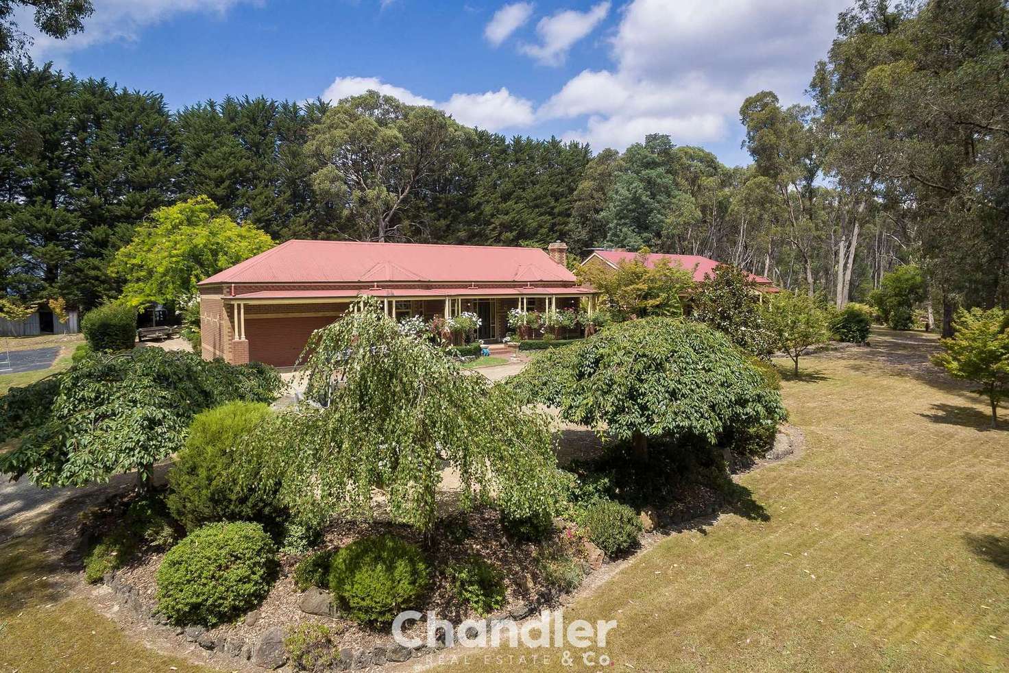 Main view of Homely house listing, 41 Rankins Road, Monbulk VIC 3793