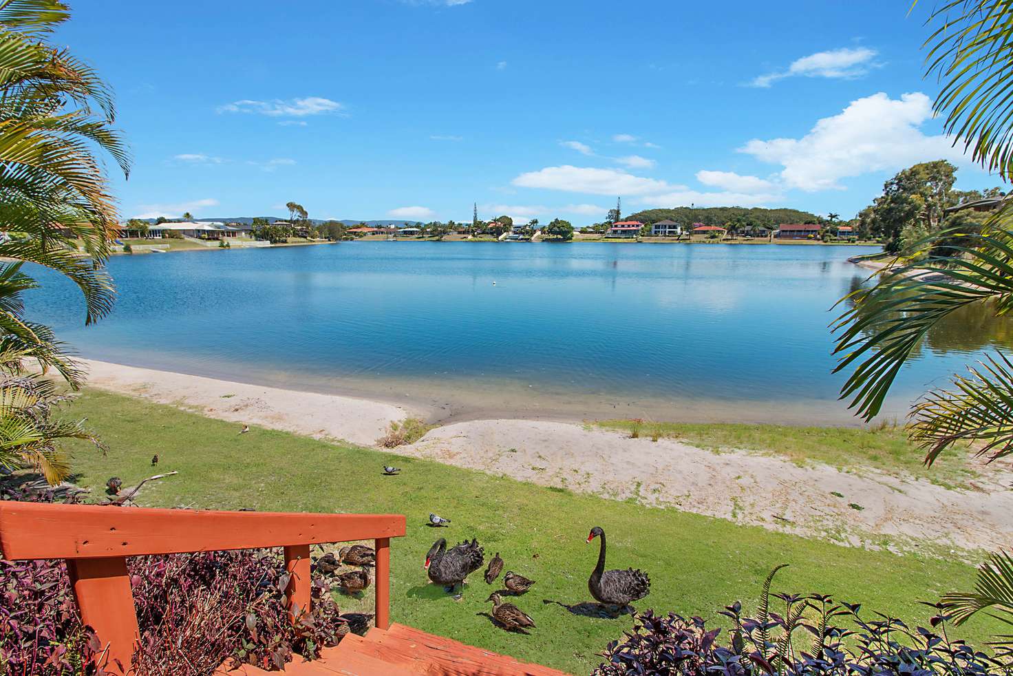 Main view of Homely villa listing, 35/11 Shrike Court, Burleigh Waters QLD 4220