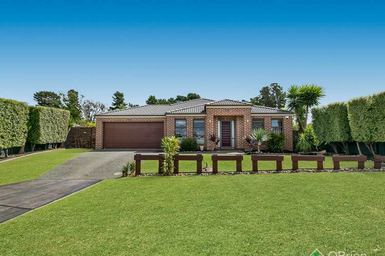 Main view of Homely house listing, 8 Andrew Court, Hastings VIC 3915