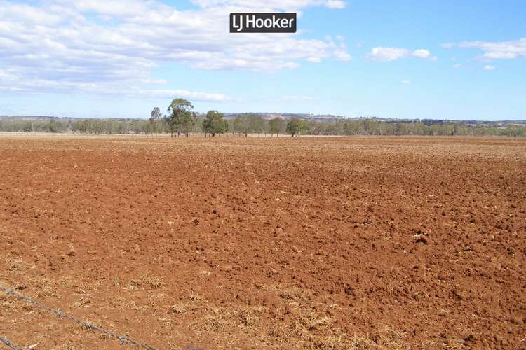 Fifth view of Homely livestock listing, 500 Havilah Park Road, Inverell NSW 2360