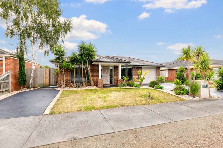 Main view of Homely house listing, 6 Kingfisher Court, Hastings VIC 3915