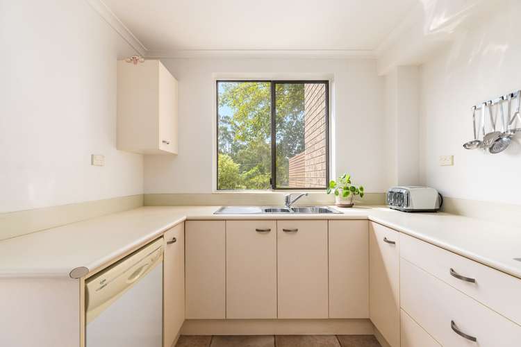 Third view of Homely townhouse listing, 3/21-23 Palmer Street, Cammeray NSW 2062