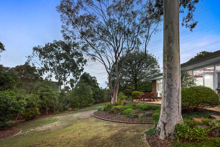 Sixth view of Homely house listing, 3 Kosciusko Court, Wheelers Hill VIC 3150