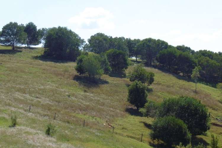 Main view of Homely residentialLand listing, 20 Sanctuary Court, Apple Tree Creek QLD 4660