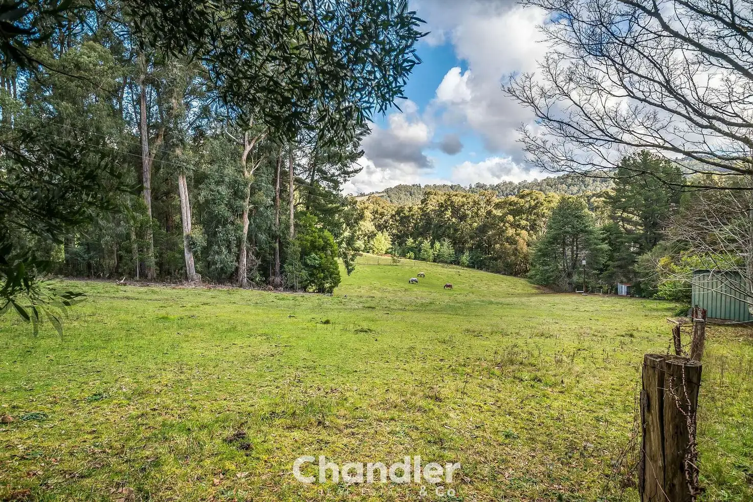 Main view of Homely house listing, 180 Emerald- Monbulk Road, Monbulk VIC 3793