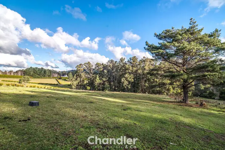 Third view of Homely house listing, 180 Emerald- Monbulk Road, Monbulk VIC 3793