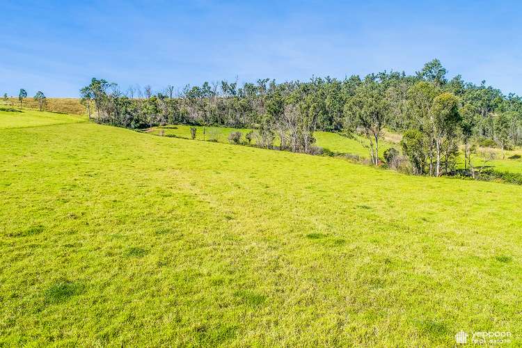 Seventh view of Homely ruralOther listing, LOT 1, 552 Bungundarra Road, Bungundarra QLD 4703