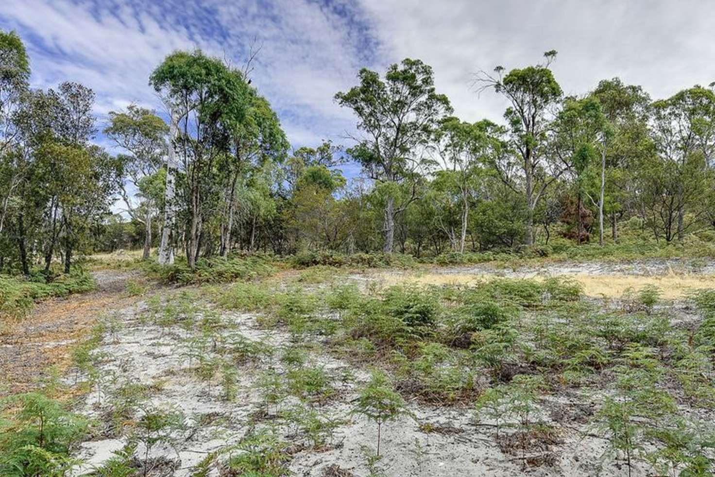 Main view of Homely residentialLand listing, Lot 4 - 650 Primrose Sands Road, Primrose Sands TAS 7173