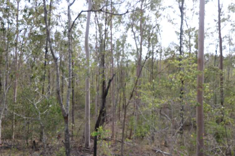 Second view of Homely residentialLand listing, LOT 133, 327 Berthelsens Road, Booyal QLD 4671