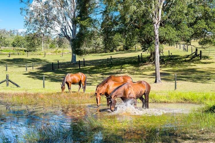 Sixth view of Homely house listing, 45 Old Mount Samson Road, Mount Samson QLD 4520