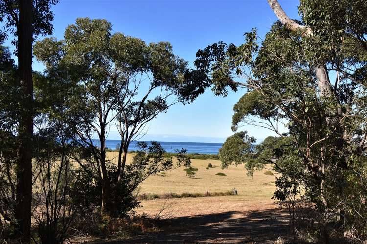 Seventh view of Homely acreageSemiRural listing, 186-188 Wallaga Lake Road, Wallaga Lake NSW 2546
