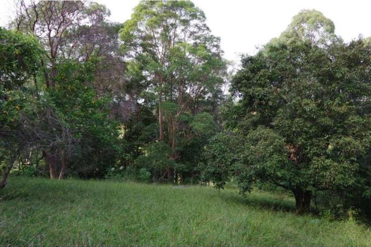 Second view of Homely residentialLand listing, LOT 284, 325 Nambour Mapleton Road, Burnside QLD 4560