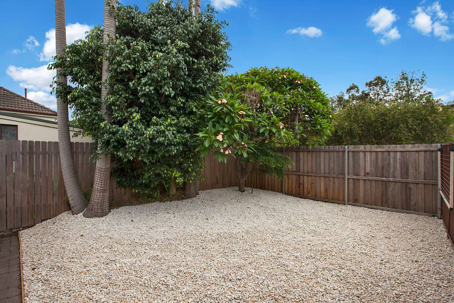 Main view of Homely house listing, 14 Arthur Street, Randwick NSW 2031