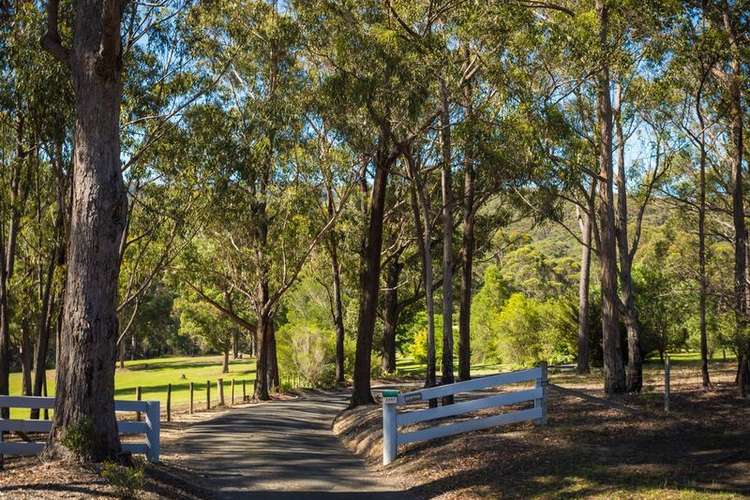 Fourth view of Homely acreageSemiRural listing, 2467 Princes Highway, Merimbula NSW 2548