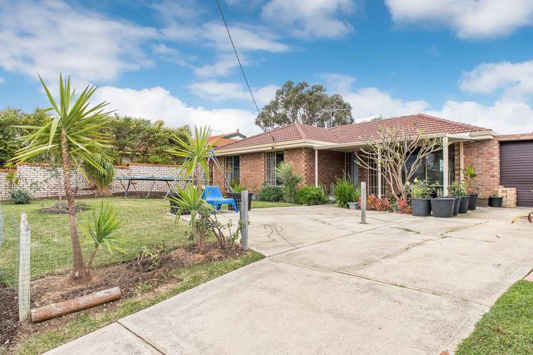 Fifth view of Homely house listing, 3 Camberwarra Drive, Craigie WA 6025