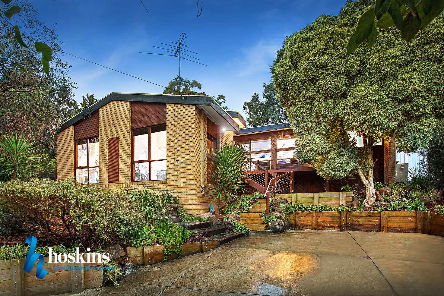 Main view of Homely house listing, 65 Landau Drive, Warranwood VIC 3134