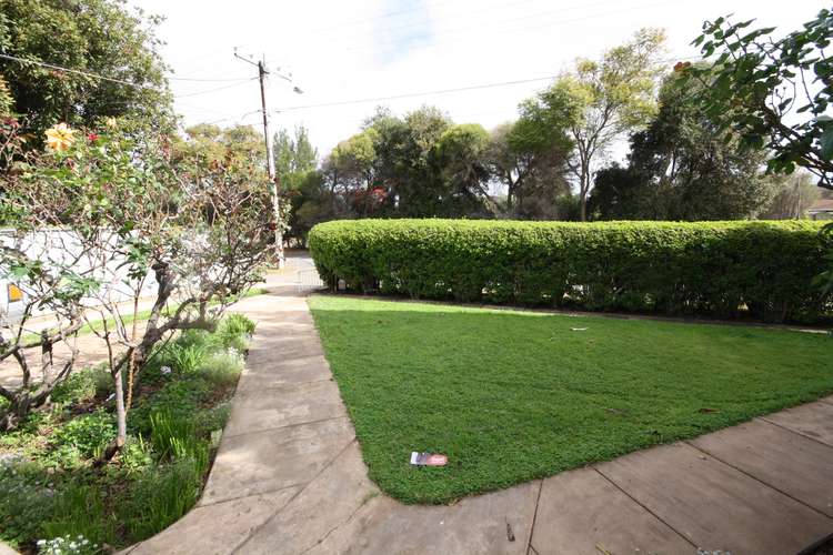 Fifth view of Homely house listing, 53 Devonport Terrace, Prospect SA 5082