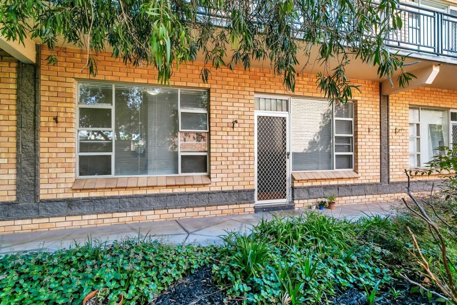 Main view of Homely unit listing, 3/1a Close Street, Rose Park SA 5067