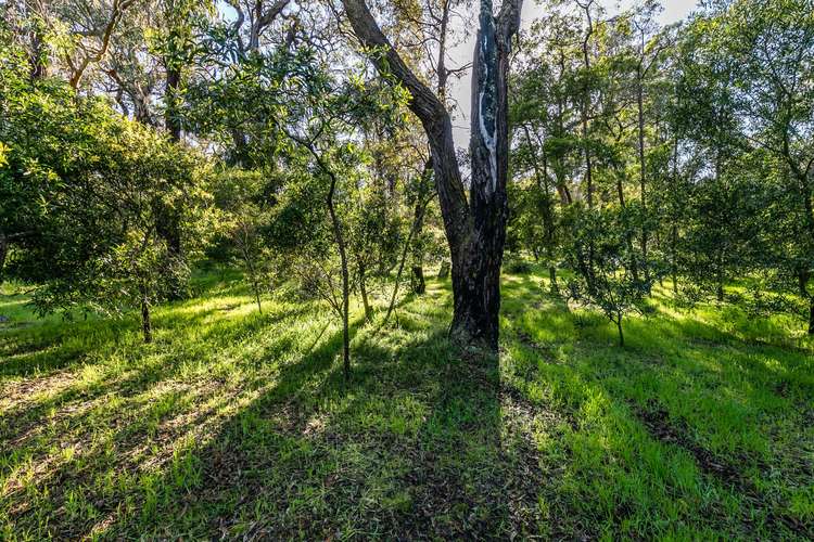 Fifth view of Homely residentialLand listing, 96 Bambra Road, Aireys Inlet VIC 3231