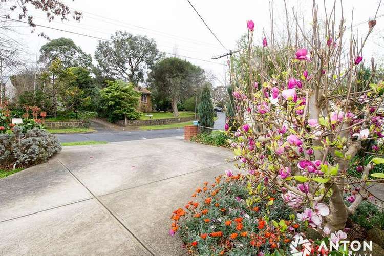 Third view of Homely house listing, 64 Cadorna Street, Box Hill South VIC 3128