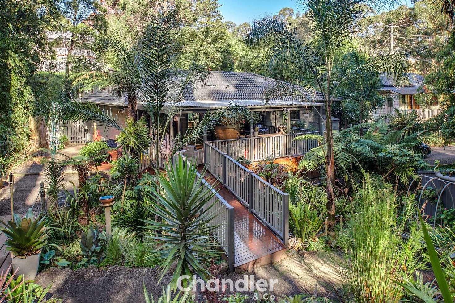 Main view of Homely house listing, 19 McNicol Road, Tecoma VIC 3160