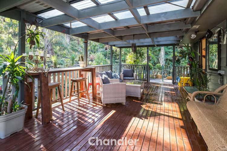 Sixth view of Homely house listing, 19 McNicol Road, Tecoma VIC 3160