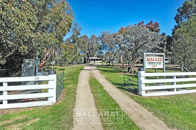 Main view of Homely house listing, 237 High Street, Avoca VIC 3467