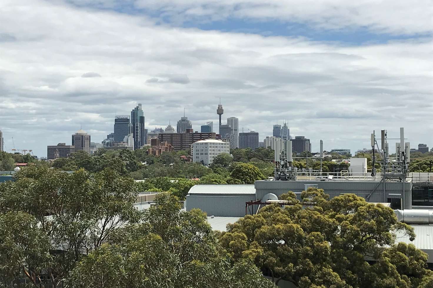 Main view of Homely apartment listing, 130/804 Bourke Street, Waterloo NSW 2017