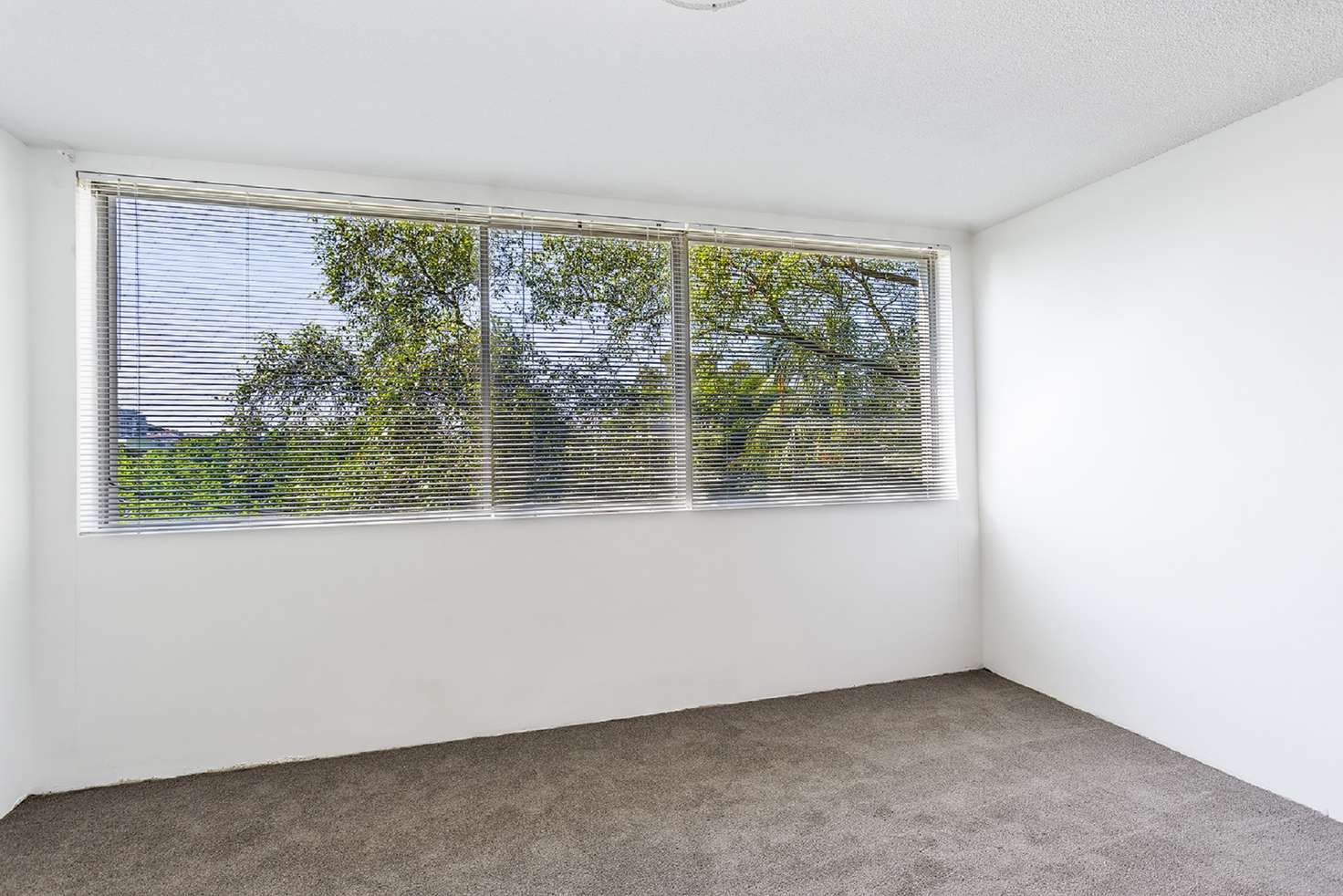 Main view of Homely studio listing, 7/284 Glenmore Road, Paddington NSW 2021