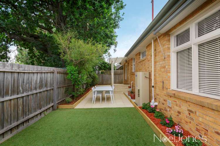 Third view of Homely unit listing, 6/115 Wattle Valley Road, Camberwell VIC 3124