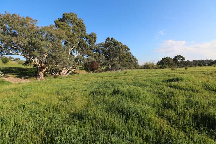 Fifth view of Homely ruralOther listing, Sedgwick Road, Sedgwick VIC 3551