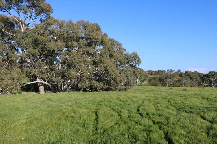 Seventh view of Homely ruralOther listing, Sedgwick Road, Sedgwick VIC 3551
