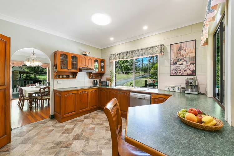 Sixth view of Homely acreageSemiRural listing, 47 Old Chevallum Road, Palmwoods QLD 4555
