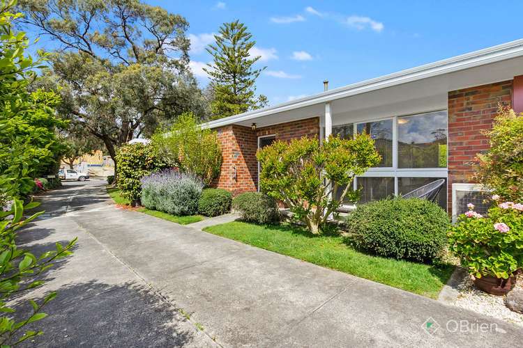 Main view of Homely unit listing, 1/86 Main Street, Blackburn VIC 3130