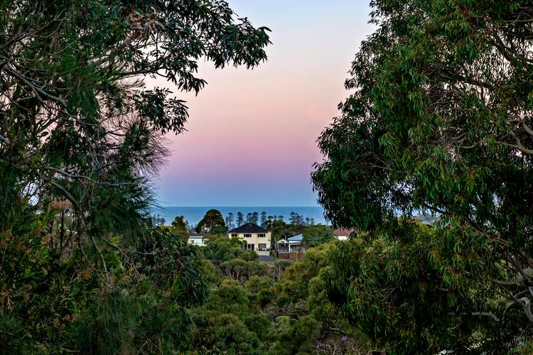 Main view of Homely house listing, 26 Kimo Street, North Balgowlah NSW 2093