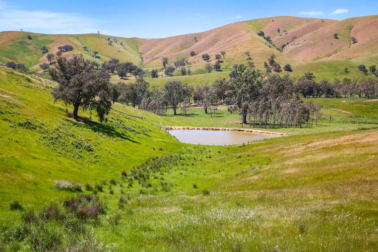 Third view of Homely ruralOther listing, 262 Clarks Road, Yea VIC 3717