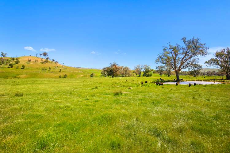 Fifth view of Homely ruralOther listing, 262 Clarks Road, Yea VIC 3717
