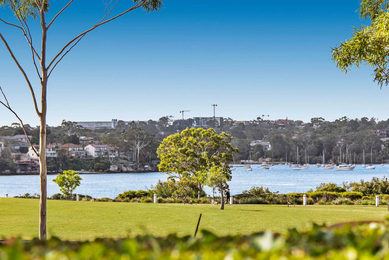 Main view of Homely apartment listing, 10 Admiralty Drive, Breakfast Point NSW 2137