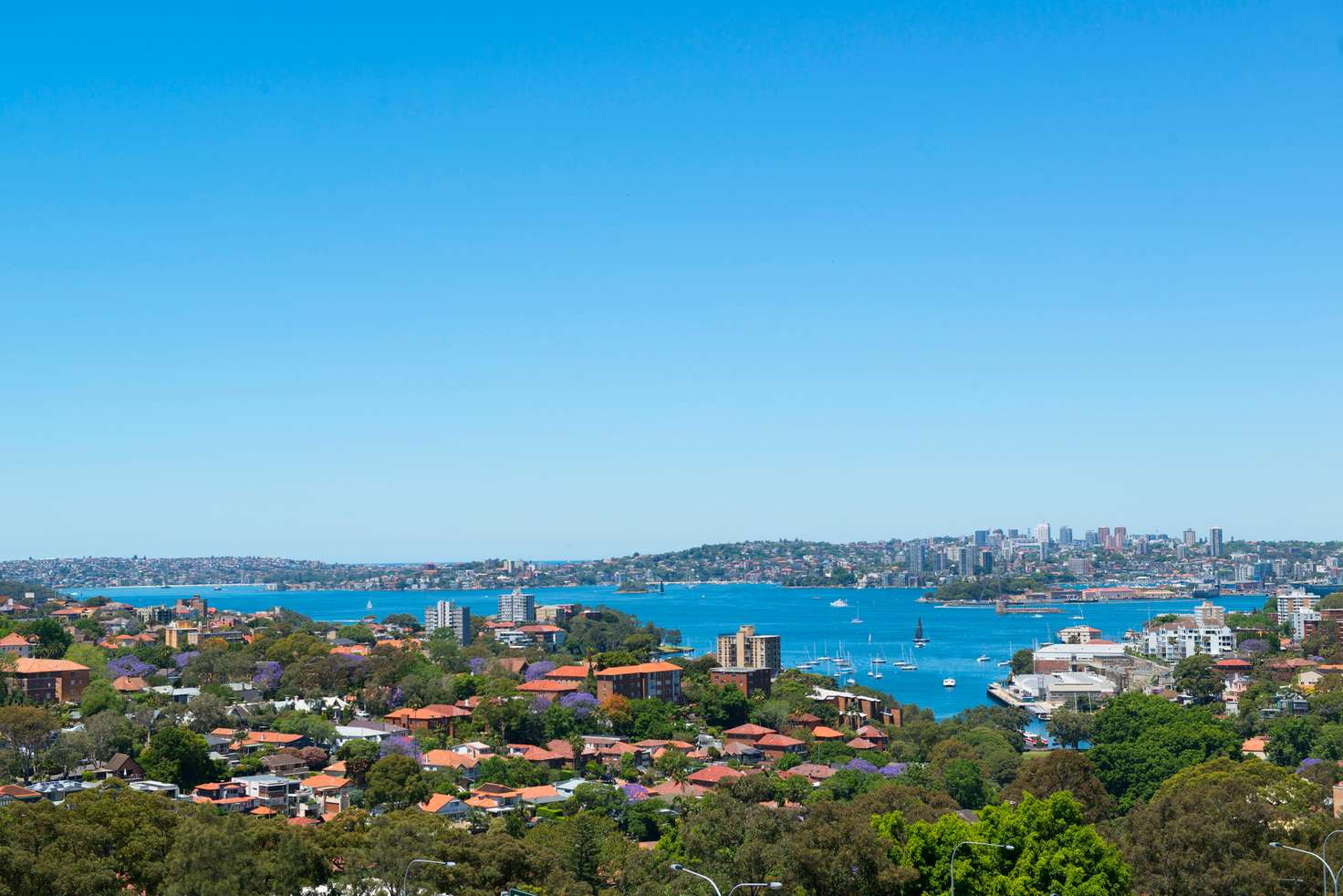 Main view of Homely apartment listing, 14/93 Ridge Street, North Sydney NSW 2060