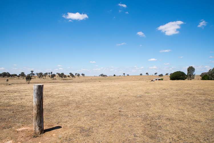 Third view of Homely residentialLand listing, Lot 14 Patons Road, Axe Creek VIC 3551