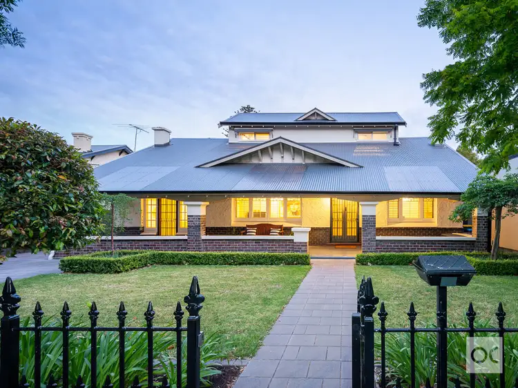 19 Elm Street, Unley Park SA 5061