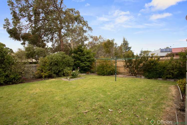 Fourth view of Homely house listing, 11 Raywood Avenue, Cowes VIC 3922