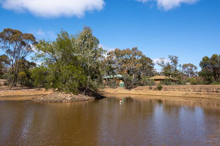 Fifth view of Homely house listing, 65 Odgers Road, Castlemaine VIC 3450