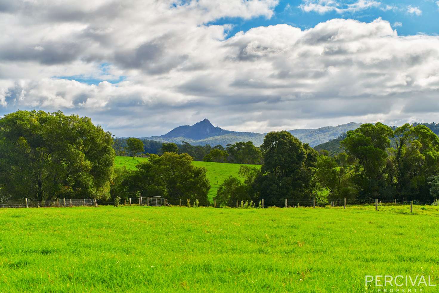 Main view of Homely house listing, 128 Deep Creek Road, Hannam Vale NSW 2443